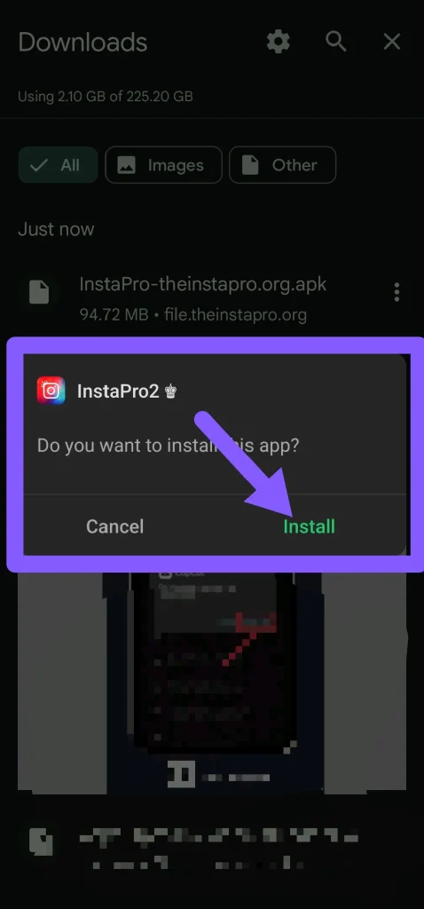 insta pro